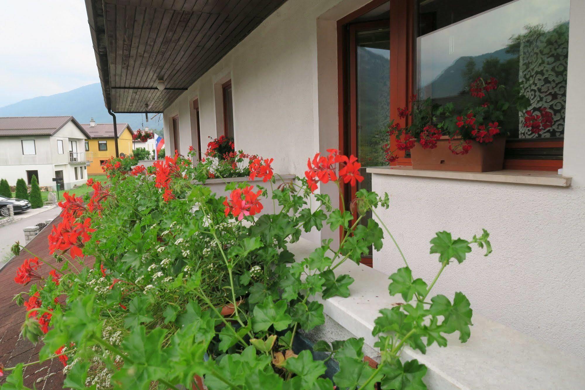 Budget Homestay Kobarid Exterior photo